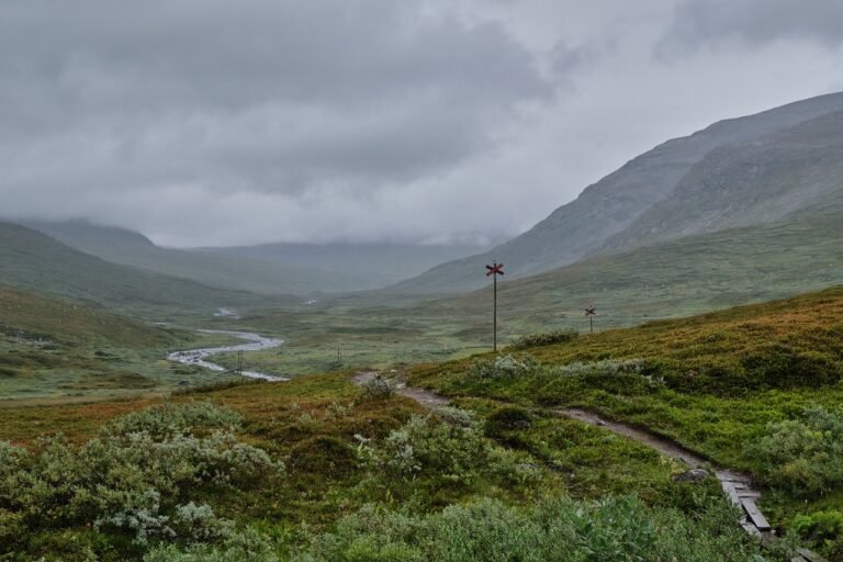 g83cab335de6dd8f71ab89ae2557c6450bb0ba68616c60700c11f804cbd6c1bfa884b05813ff3bdad3ad4bf4e69d6af88d2dfaca52d7ee1609625165f710abc16_1280