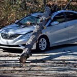 g87c5b0799029aaca7cc89adf2c43f75333a68d2b03f9fccef8f440160d2c62e935625cd911784fb9420ab57b16c3f21d0031b2deb121ef6cc0d87d88c0b95497_1280