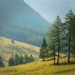 ge6cbb0f650c95f08ac0f7a0d4e5bee15da2fa8d030471e8f59bd42afa2599e65ecebdc6eecf2fe2fad13ef28d68df2c444b33e44be696a4260bdbbdc38104003_1280